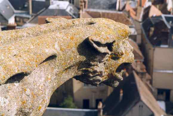 Photographie - Dtail sculptural - (retour)